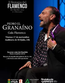 Gala Flamenca - Pedro El Granaíno
