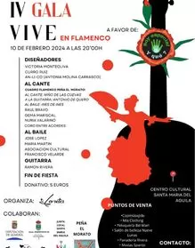 IV Gala Vive en flamenco